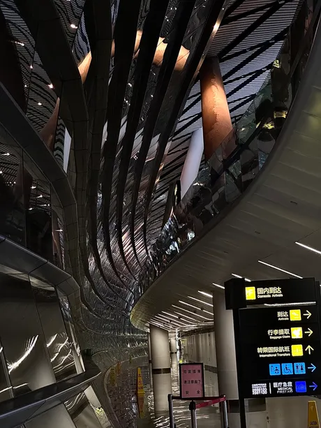 Curved timber slats rising through a station concourse