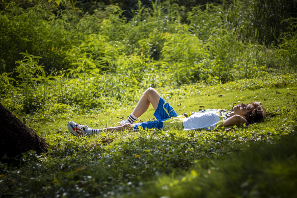 Golden hour landscape